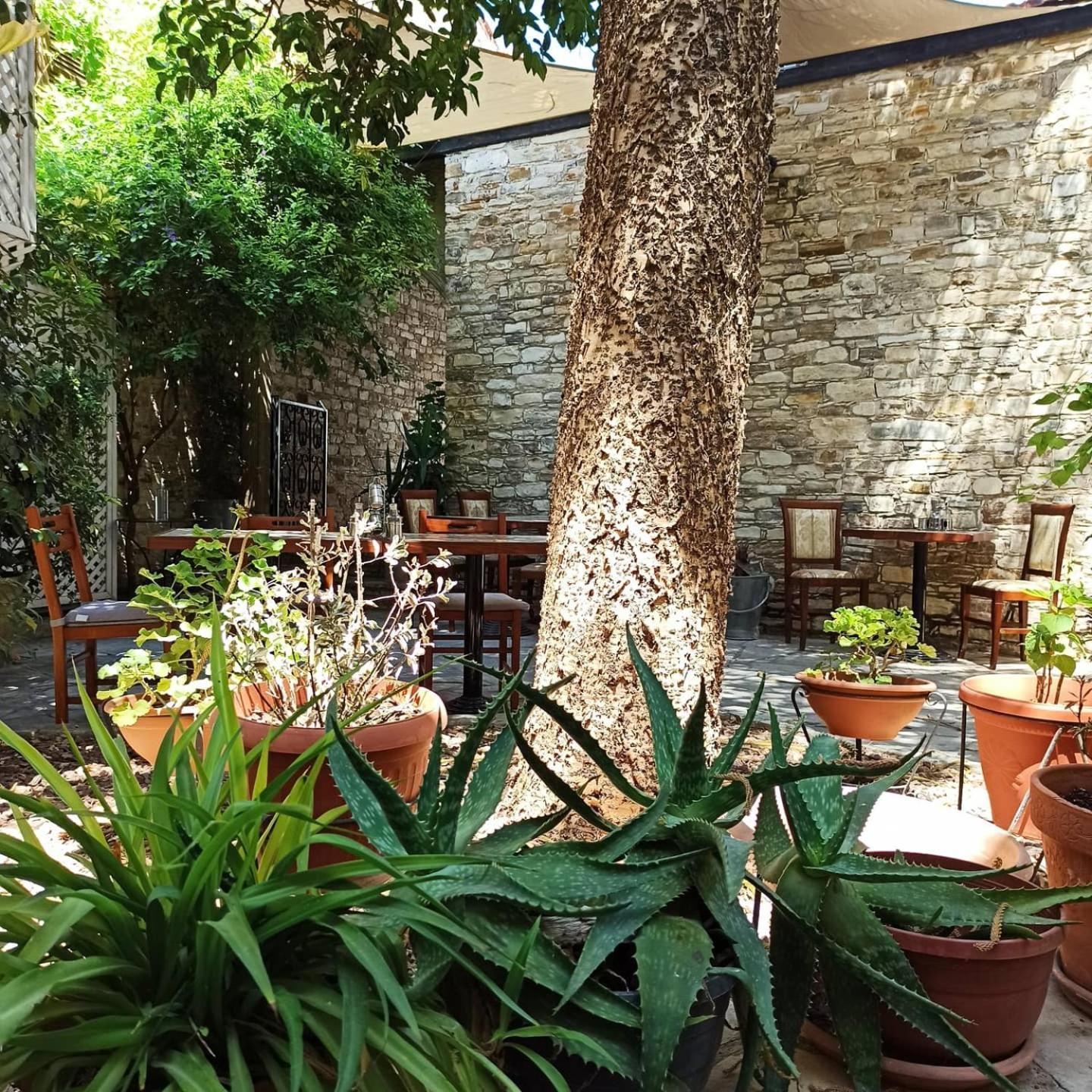 Lefkara Hotel Kültér fotó